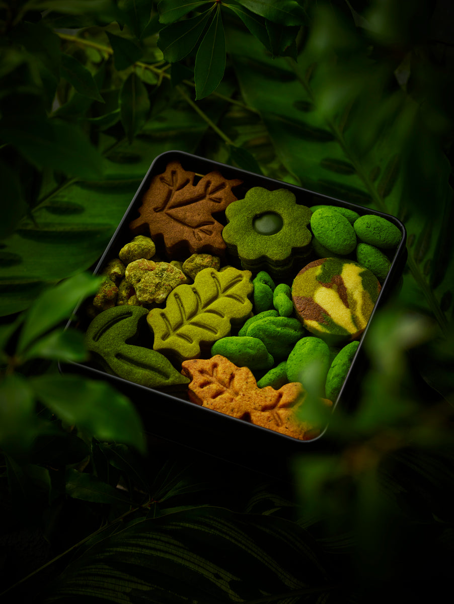 希少レア　DAUPE!初期TREE 2LP 限定300枚！アングラ 希少レア DAUPE!初期TREE 2LP 限定300枚！アングラ - メルカリ