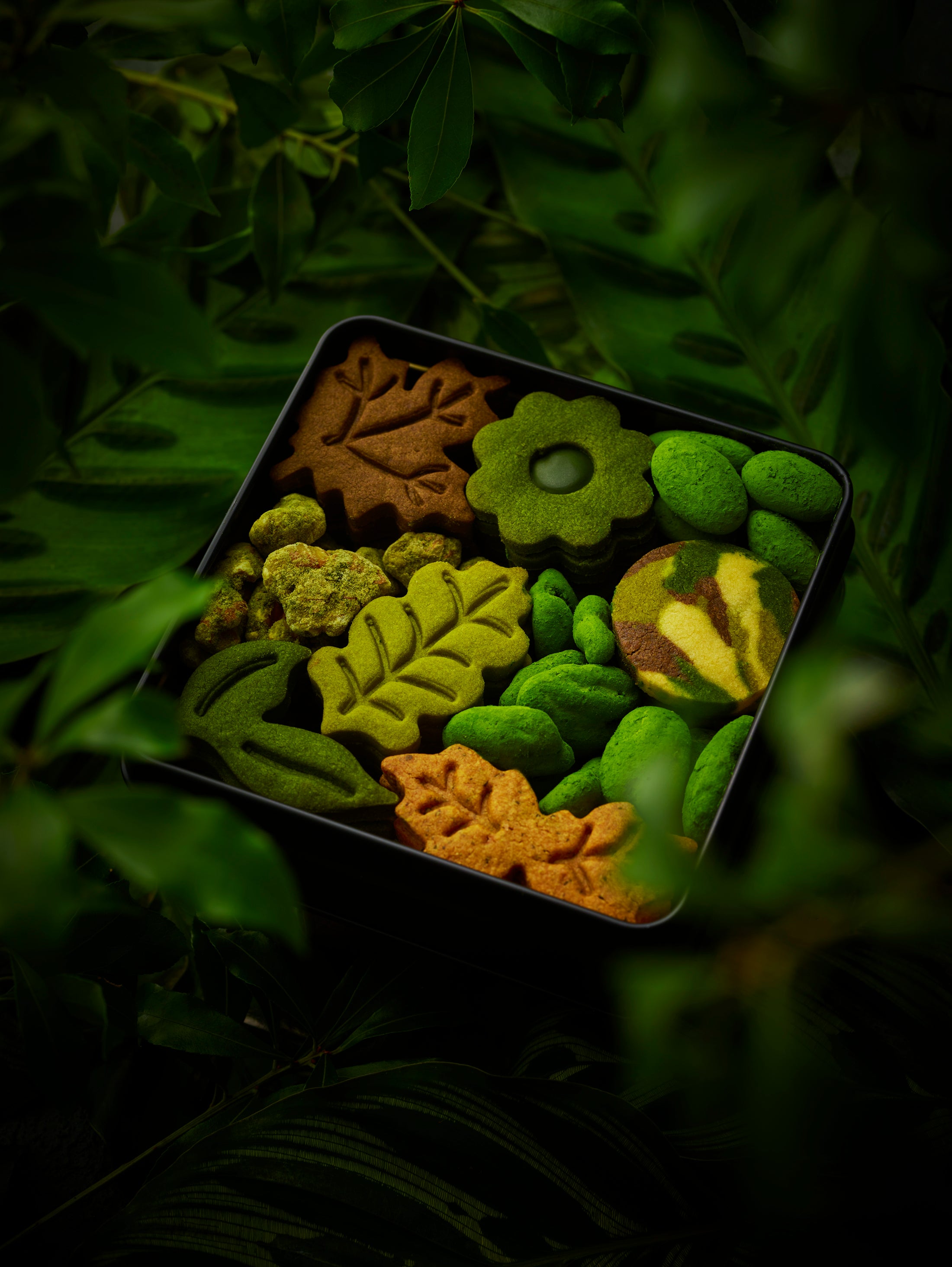 ボタニカルクッキー缶｜TREEE'S Online Shop